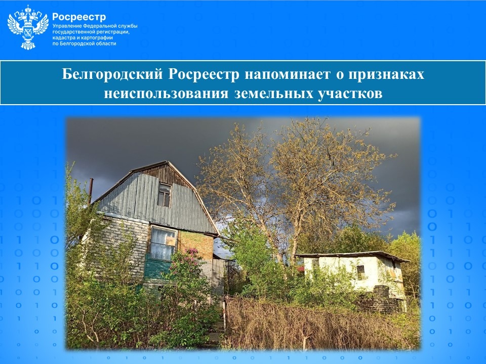 Белгородский Росреестр напоминает о признаках неиспользования земельных участков.