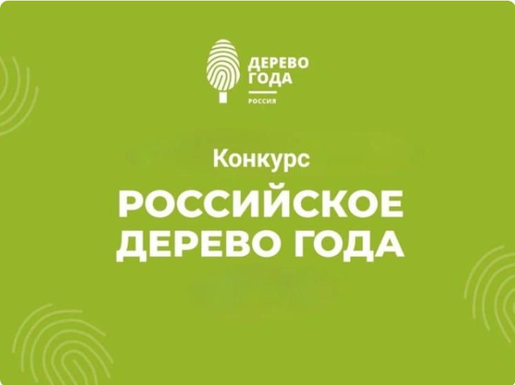 Информация о проведении Всероссийского конкурса «Российское дерево года - 2024».