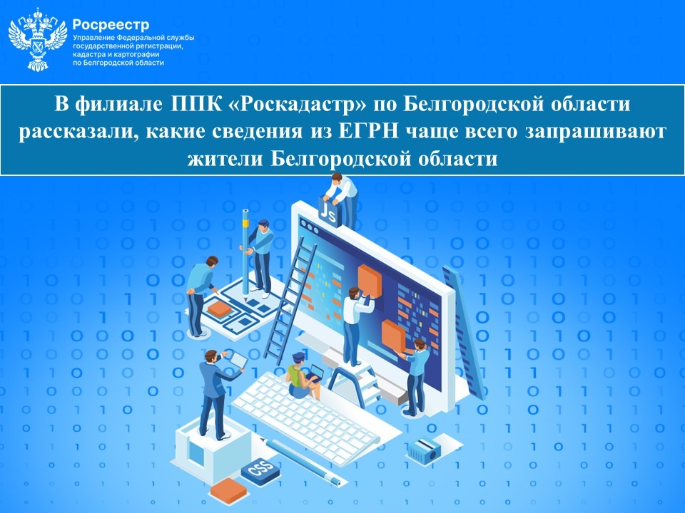 В филиале ППК «Роскадастр» по Белгородской области рассказали, какие сведения из ЕГРН чаще всего запрашивают жители Белгородской области.