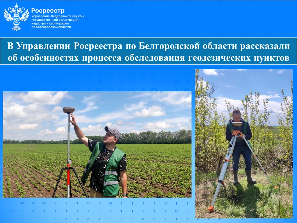 В Управлении Росреестра по Белгородской области рассказали об особенностях процесса обследования геодезических пунктов.