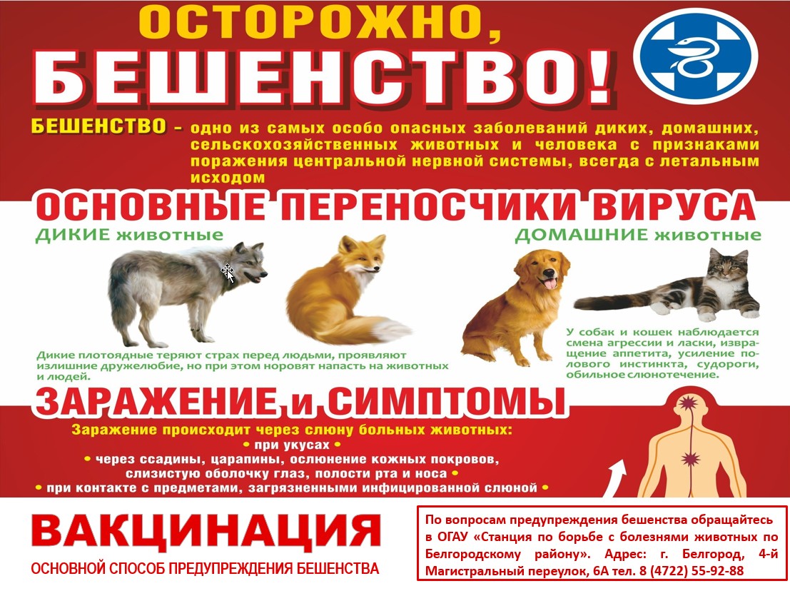 Уважаемые жители Белгородского района! Напоминаем о необходимости вакцинации Ваших животных от особо опасных заболеваний!