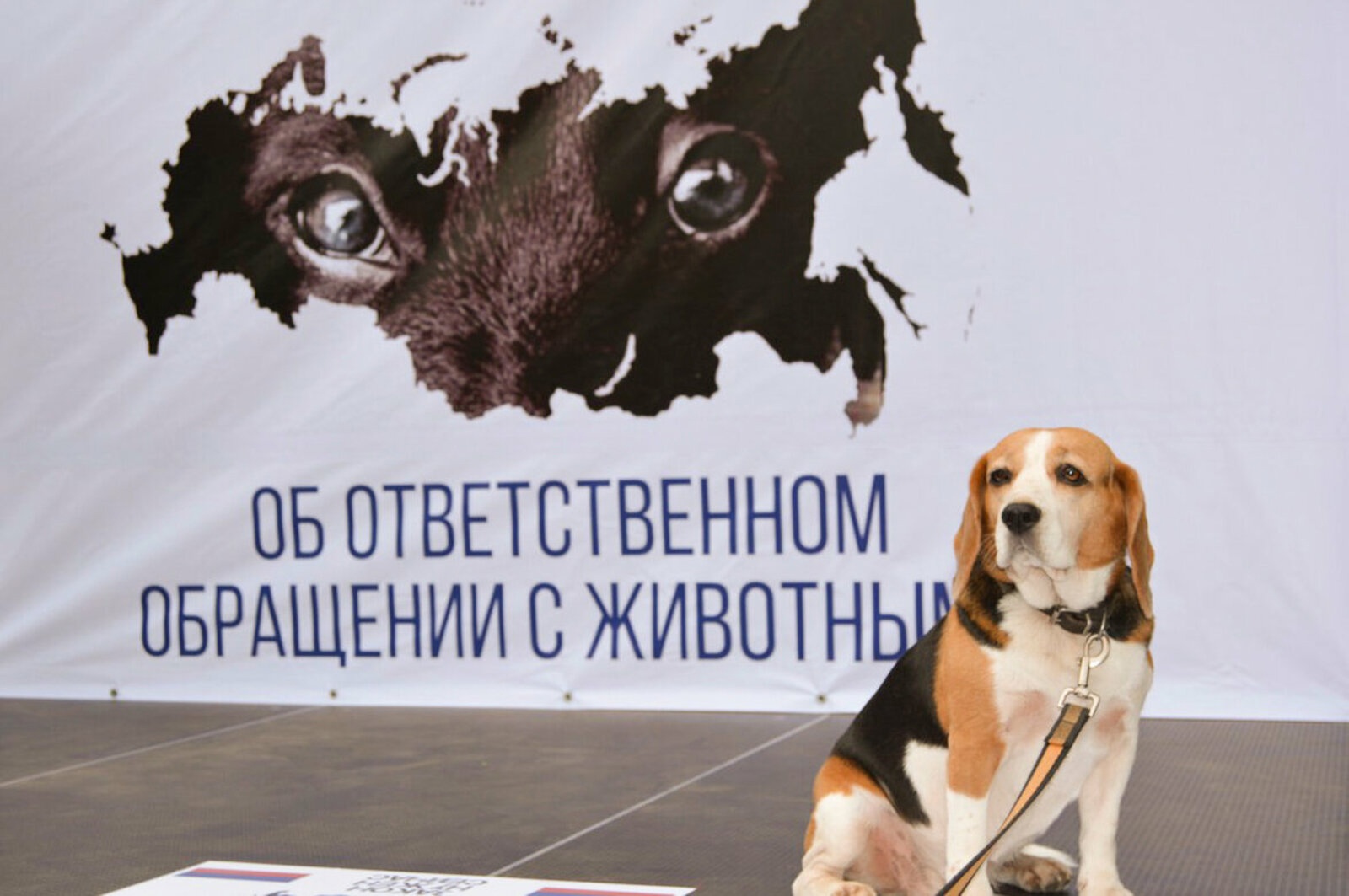 Уважаемые жители Белгородского района!.