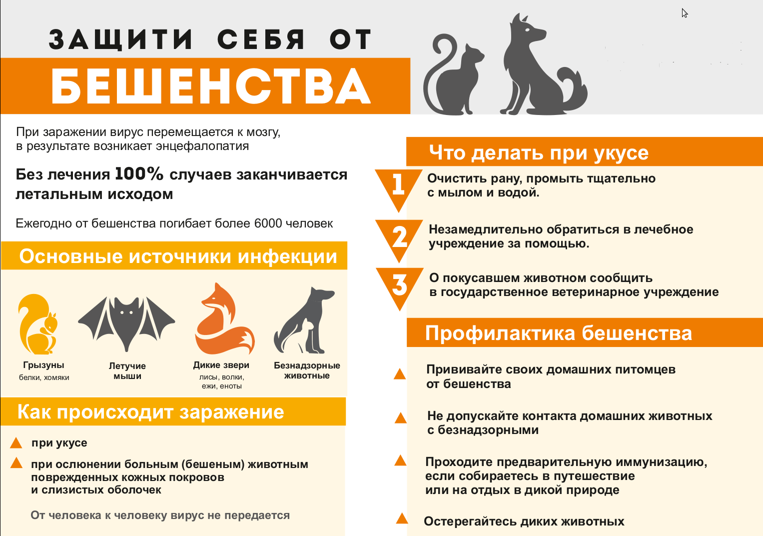 Профилактика бешенства у животных: защитите себя и своих питомцев.