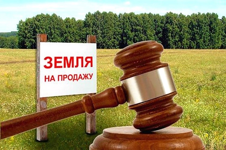 У жителей Белгородского района есть возможность через аукцион приобрести земельный участок, который находится в муниципальной собственности.