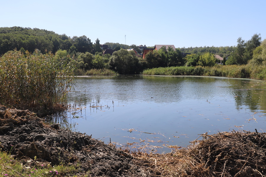 В селе Репное началась очистка пруда в рамках губернаторского проекта «Наши реки».
