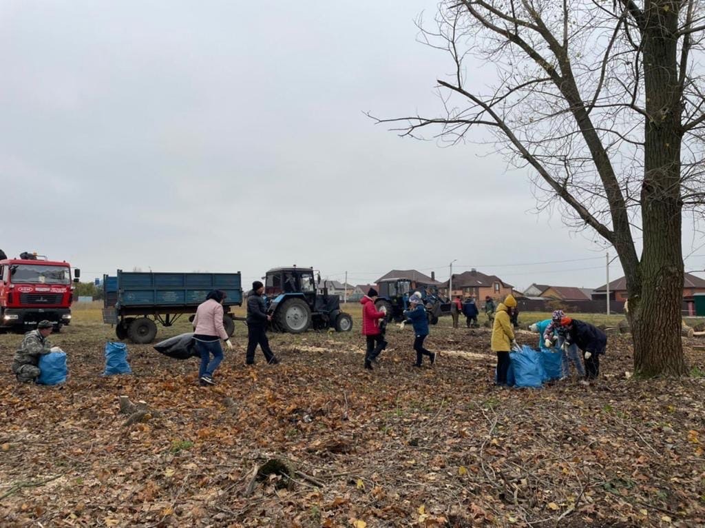В городских и сельских поселениях Белгородского района прошли экологические субботники