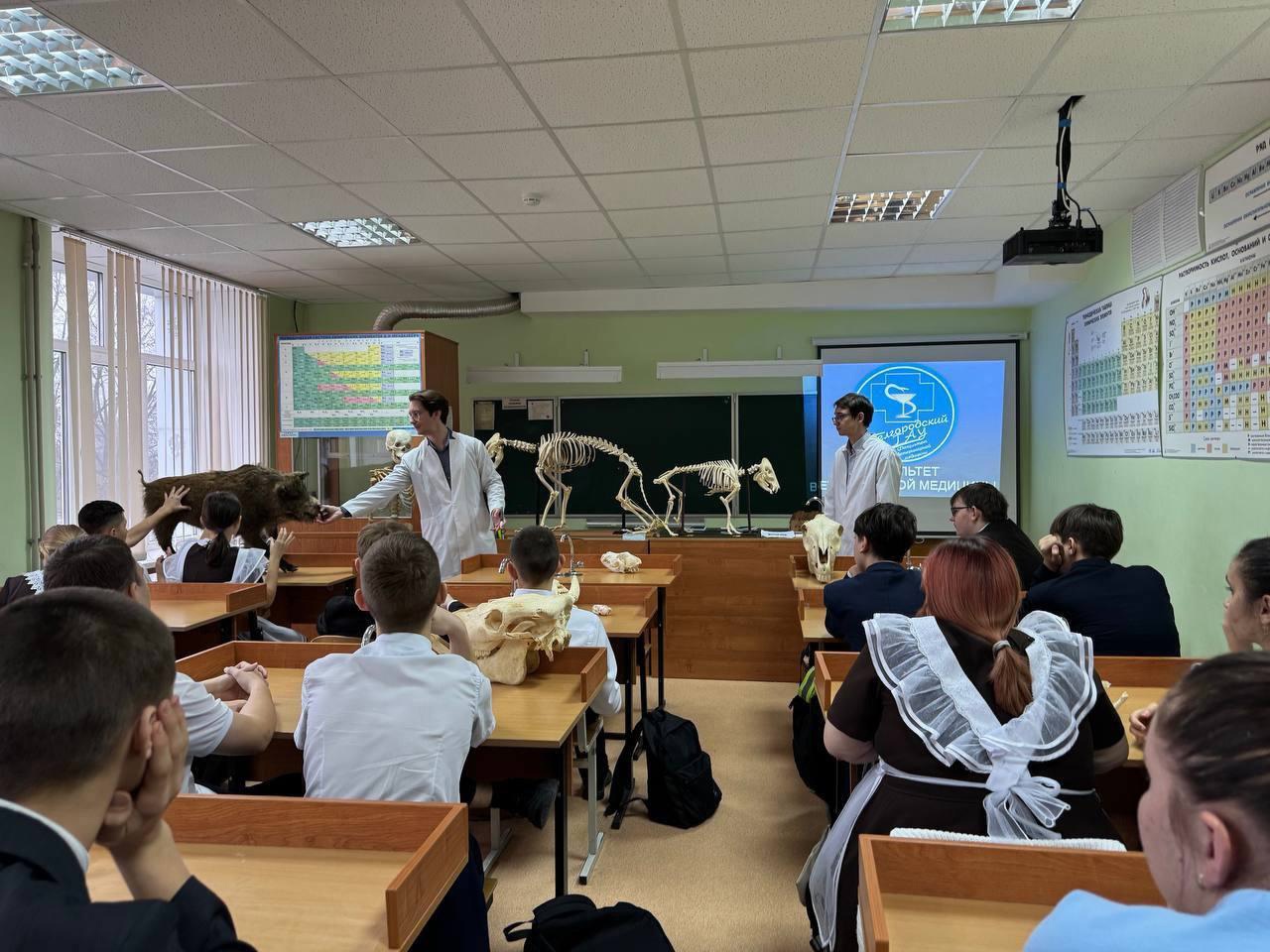 Преподаватели Белгородского ГАУ провели выездной урок биологии для учеников агротехнологического класса Бехтеевской школы Корочанского района.