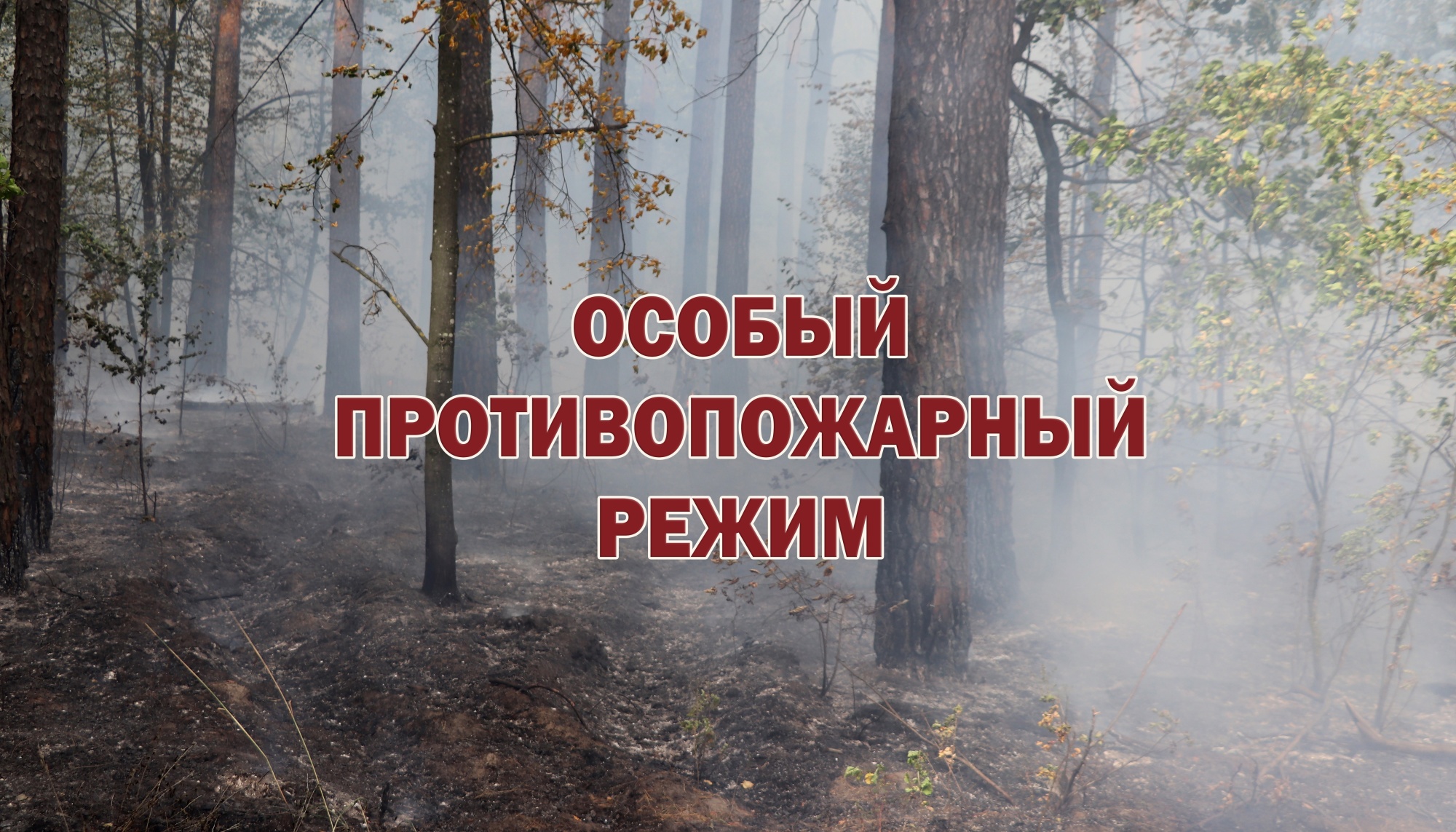 С сегодняшнего дня в Белгородском районе введён особый противопожарный режим.