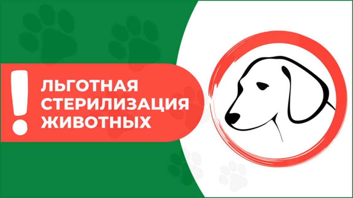 Льготная стерилизация домашних животных.