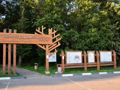 Монастырский лес (ранее урочище Лог).