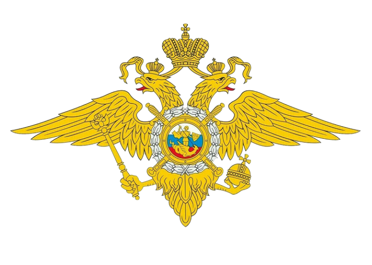 Чистое поколение. Чистое поколение.