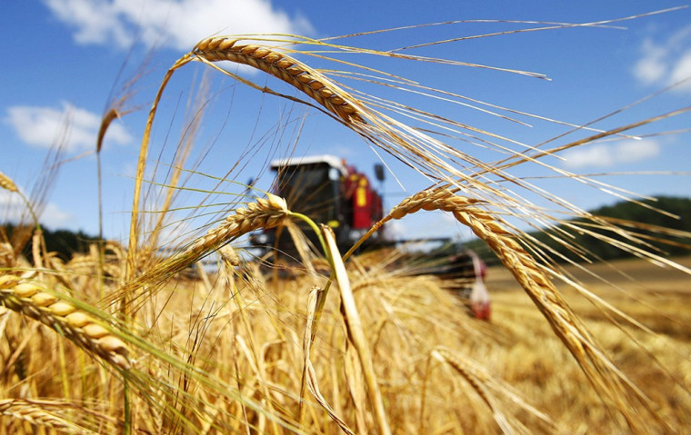 Снизилась ставка по льготным кредитам для сельхозпроизводителей.
