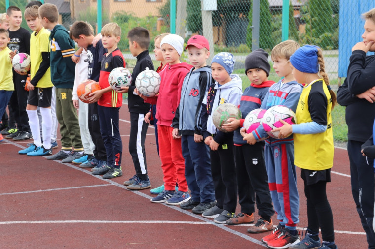 В Белгородском районе стартовал ежегодный открытый конкурс на соискание грантов на реализацию проектов в сфере физической культуры, спорта и оздоровления жителей.