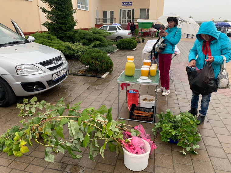 Еженедельные ярмарки прошли в поселениях Белгородского района. Еженедельные ярмарки прошли в поселениях Белгородского района.