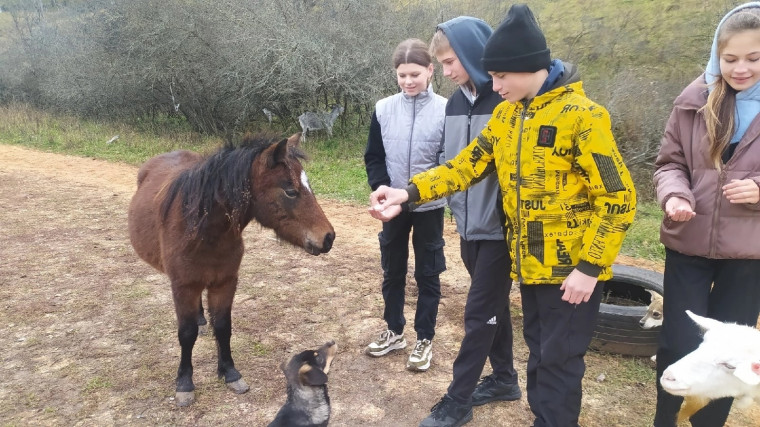 В Белгородском районе прошла детская туристическая программа «Ход конём».