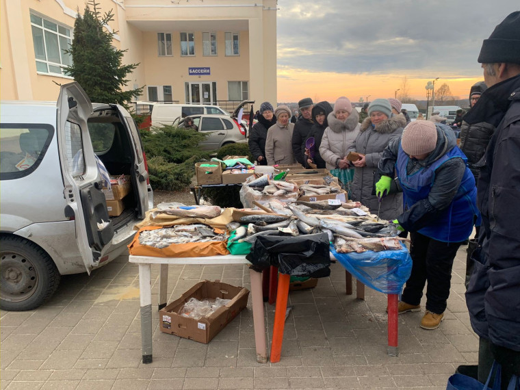 Традиционные еженедельные ярмарки прошли в поселениях Белгородского района.