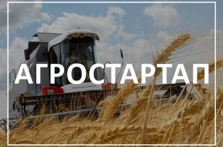 В регионе стартовал конкурс по предоставлению грантов для фермеров. В регионе стартовал конкурс по предоставлению грантов для фермеров.