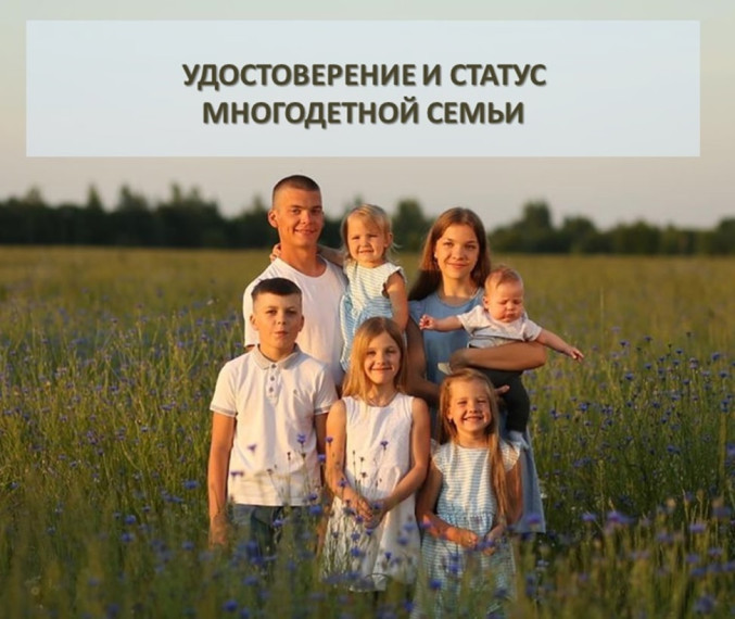 Жители Белгородского района могут получить статус многодетной семьи через Госуслуги.