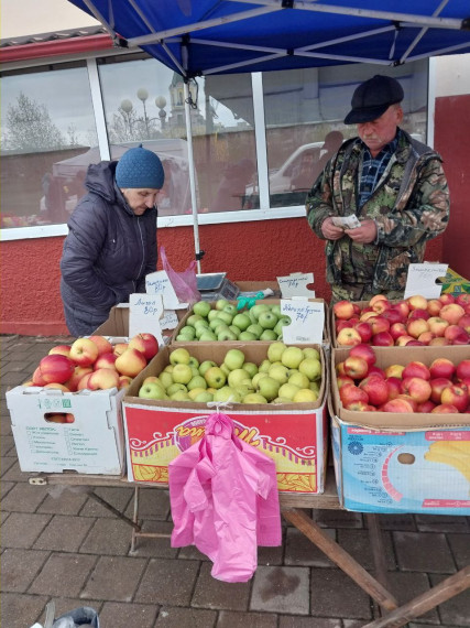 Фермерские ярмарки в Белгородском районе.