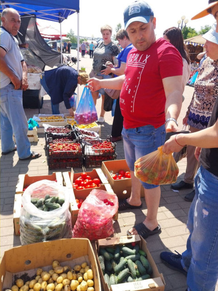 В поселениях Белгородского района продолжается проведение ярмарочных мероприятий. В поселениях Белгородского района продолжается проведение ярмарочных мероприятий.