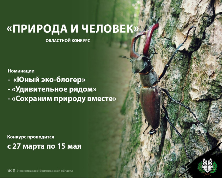 Воспитанник Центра дополнительного образования «Успех» — призёр областного конкурса «Природа и человек». Воспитанник Центра дополнительного образования «Успех» — призёр областного конкурса «Природа и человек».
