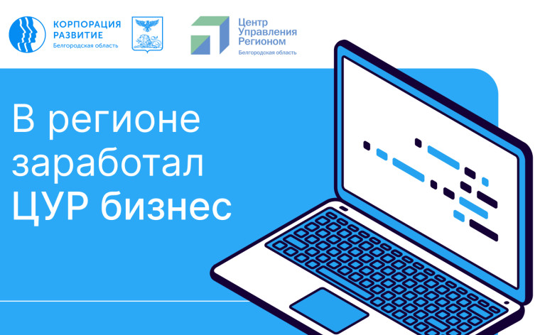 В Белгородской области начала работать система ЦУР «Бизнес».