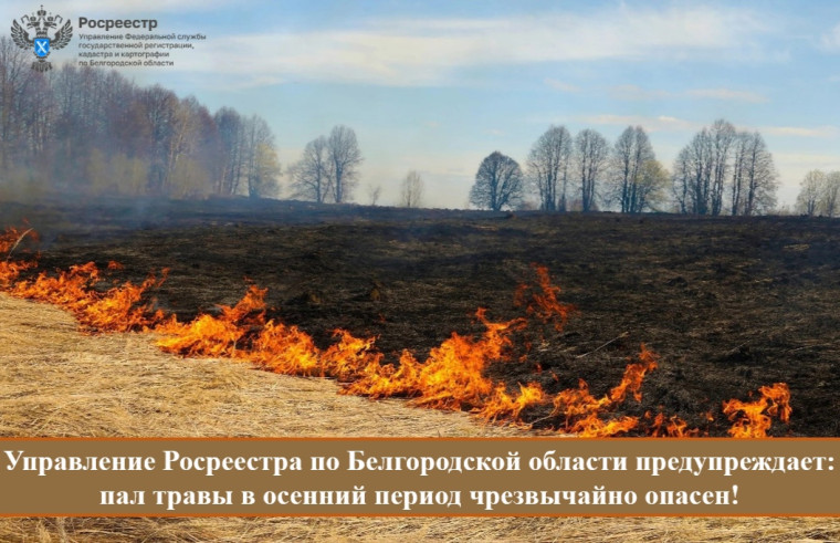 Управление Росреестра по Белгородской области предупреждает: пал травы в осенний период чрезвычайно опасен!. Управление Росреестра по Белгородской области предупреждает: пал травы в осенний период чрезвычайно опасен!.