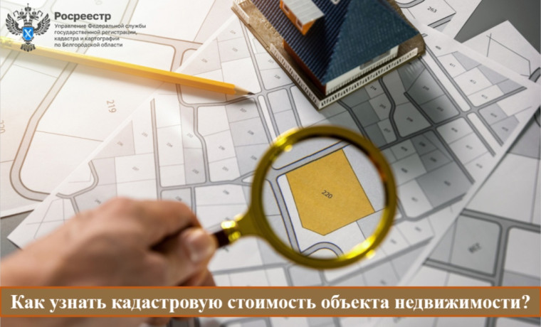 Как узнать кадастровую стоимость объекта недвижимости?. Как узнать кадастровую стоимость объекта недвижимости?.