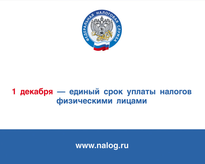 1 декабря 2023 года — единый срок уплаты имущественных налогов физическими лицами.