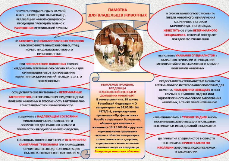 Памятка о мерах профилактики заразных, в том числе особо опасных и общих для человека и животных болезней. Памятка о мерах профилактики заразных, в том числе особо опасных и общих для человека и животных болезней.