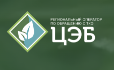 «Снегопад принес не только засыпанные снегом и покрытые льдом дороги, но и свалки во дворах,  к которым, вероятно, техника пока подъехать не может».