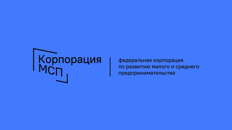 В 2023 году малые и средние предпринимательства России получили свыше 312 млрд рублей кредитных средств в рамках программы зонтичных поручительств.