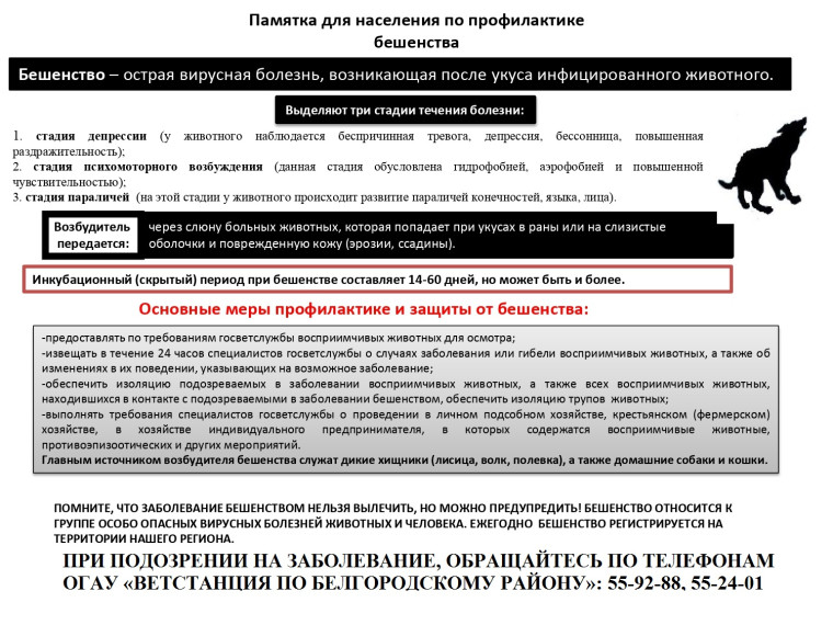 Информационные карточки о профилактике бешенства.