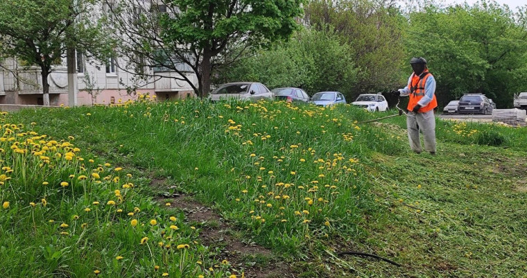 В рамках месячника экологической безопасности в Белгородском районе прошёл Всероссийский субботник. В рамках месячника экологической безопасности в Белгородском районе прошёл Всероссийский субботник.