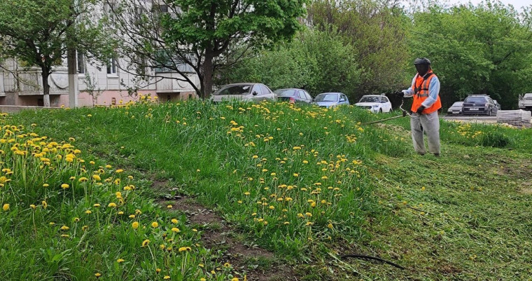 В рамках месячника экологической безопасности в Белгородском районе прошёл Всероссийский субботник.