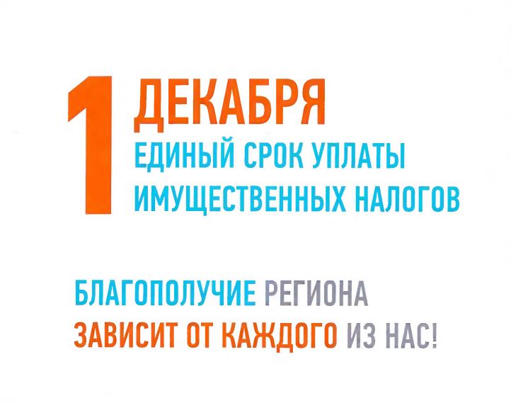 1 декабря – едины срок уплаты имущественных налогов физическими лицами. 1 декабря – едины срок уплаты имущественных налогов физическими лицами.