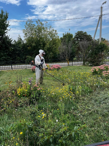 На территории поселений нашего муниципалитета продолжаются работы по поддержанию чистоты и порядка.
