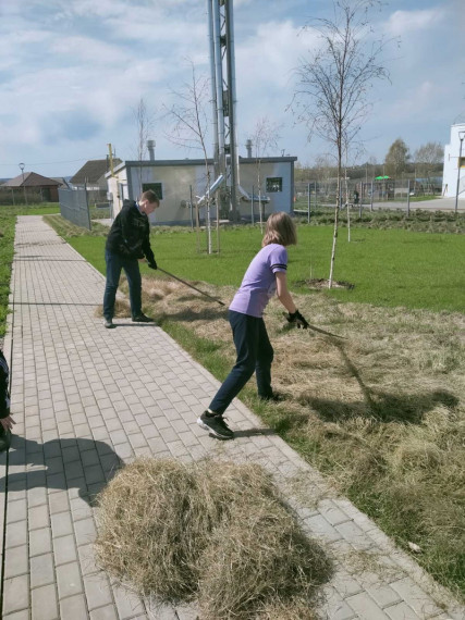 Более 100 учащихся Белгородского района состоят в отрядах эковолонтёров.