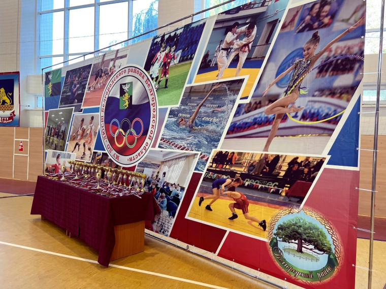 На базе ФОК «Парус» посёлка Разумное состоялось открытое первенство Белгородского района по художественной гимнастике.