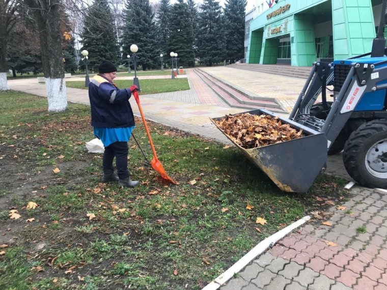 В городских и сельских поселениях Белгородского района прошли экологические субботники.