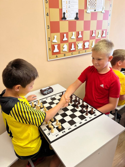 Активная работа по вовлечению детей в систему дополнительного образования ведётся в Белгородском районе.