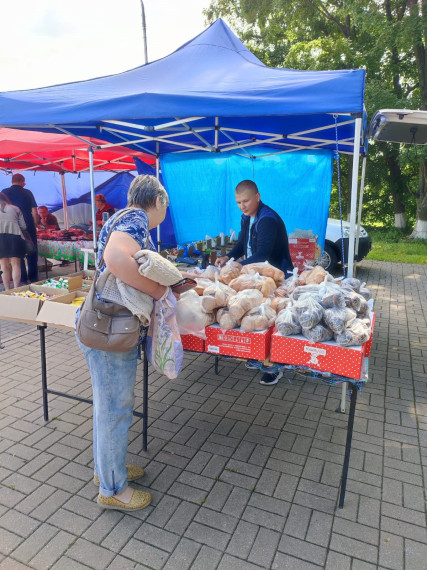 Продовольственные ярмарки прошли в четырёх поселениях Белгородского района.