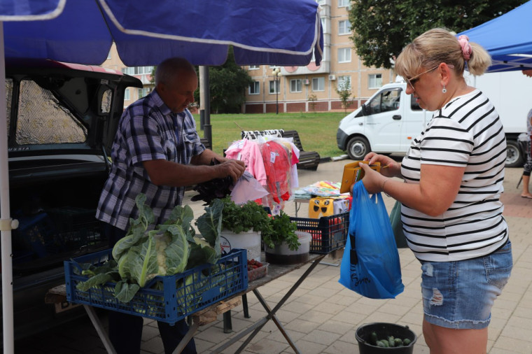В поселениях Белгородского района проходят продовольственные ярмарки выходного дня.