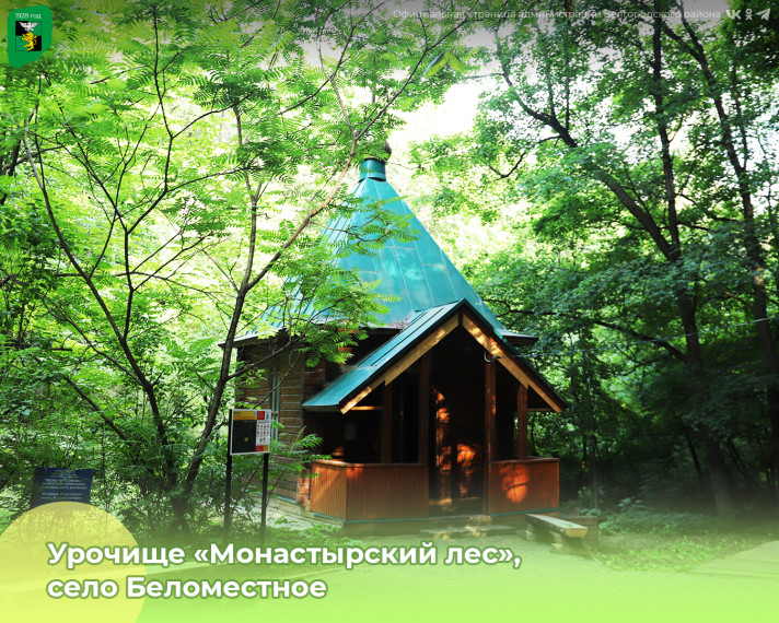 Урочище «Монастырский лес» — одно из самых притягательных мест нашего муниципалитета.