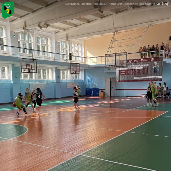 Спортсмены детско-юношеской спортивной школы продолжают пополнять копилку наград Белгородского района.