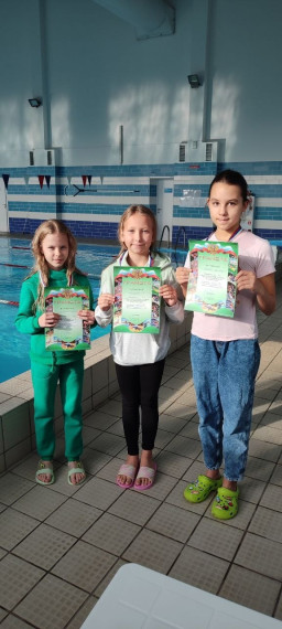 Юные пловцы приняли участие в Открытом «Кубке Стайера».