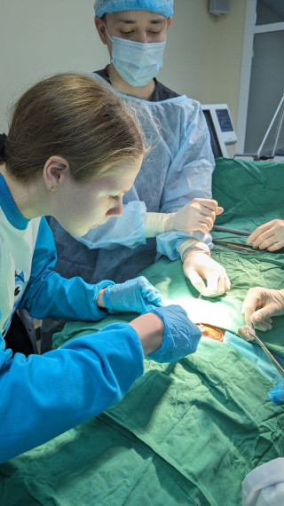 В Белгородском районе школьники получают профессиональные знания в сфере медицины.